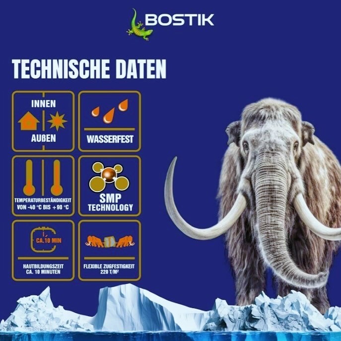 Technische  Daten